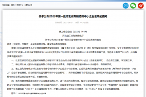 喜訊! 河北榮豐榮獲“專精特新”企業(yè)稱號(hào)