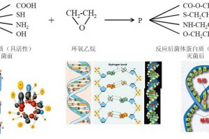 醫(yī)療產(chǎn)品環(huán)氧乙烷(EO)滅菌原理、應用、檢測及控制事項